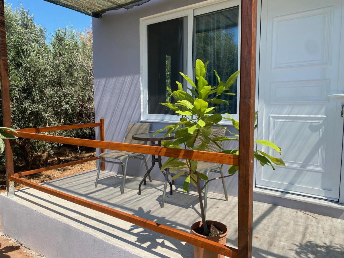 פליאוחורה Vine Veranda מראה חיצוני תמונה