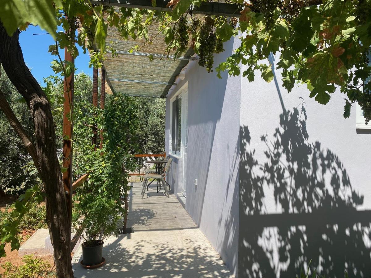 פליאוחורה Vine Veranda מראה חיצוני תמונה