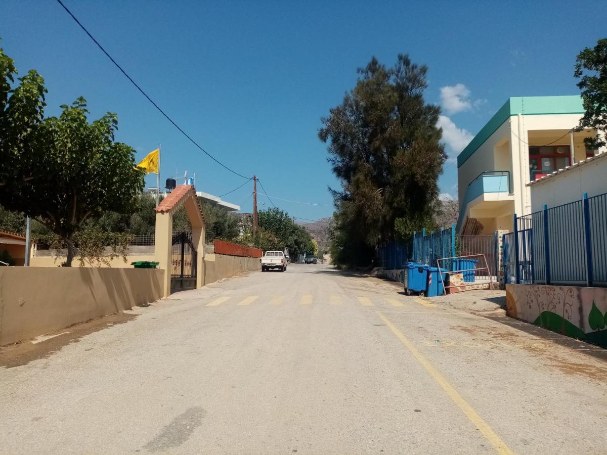 פליאוחורה Vine Veranda מראה חיצוני תמונה