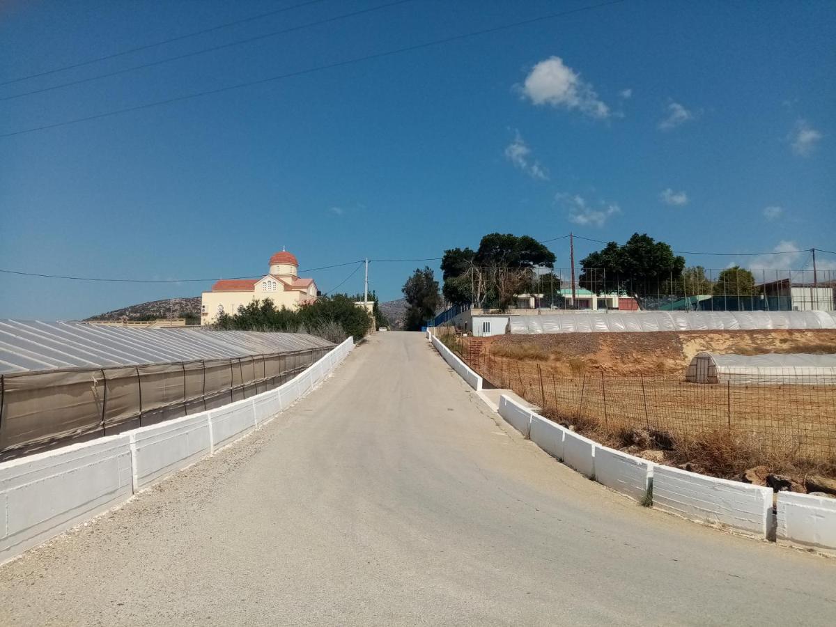 פליאוחורה Vine Veranda מראה חיצוני תמונה
