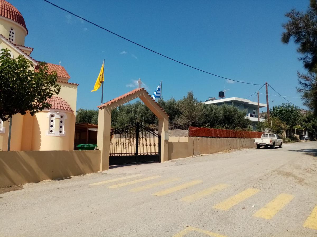 פליאוחורה Vine Veranda מראה חיצוני תמונה